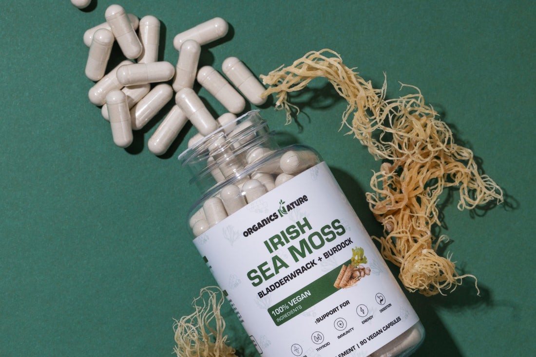 Sea moss bladderwrack and burdock roots capsules