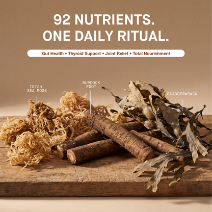 Organic Irish Sea Moss With Bladderwrack and Burdock Root - 45 Servings