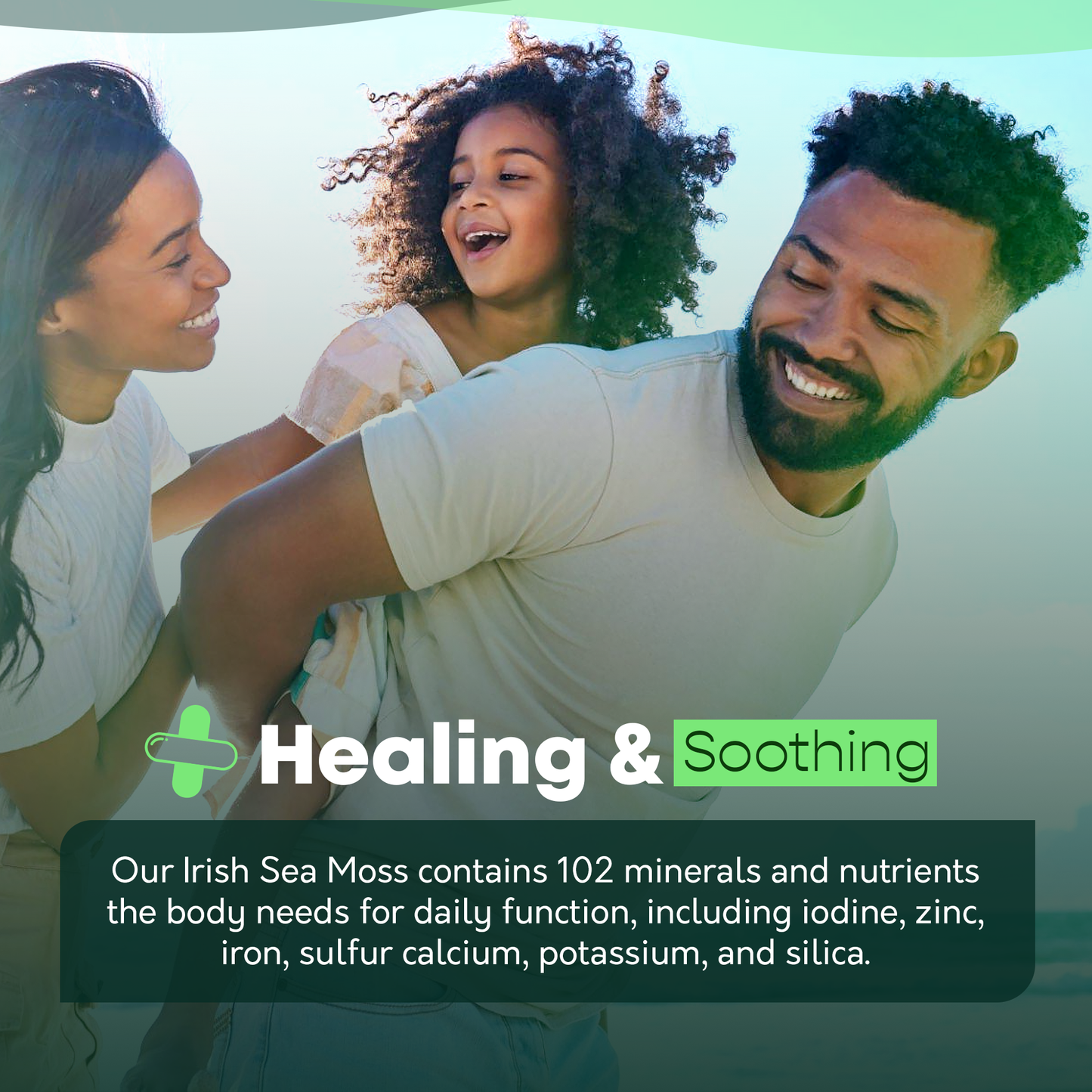 sea moss minerals 102